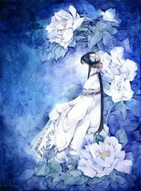 无双赘婿